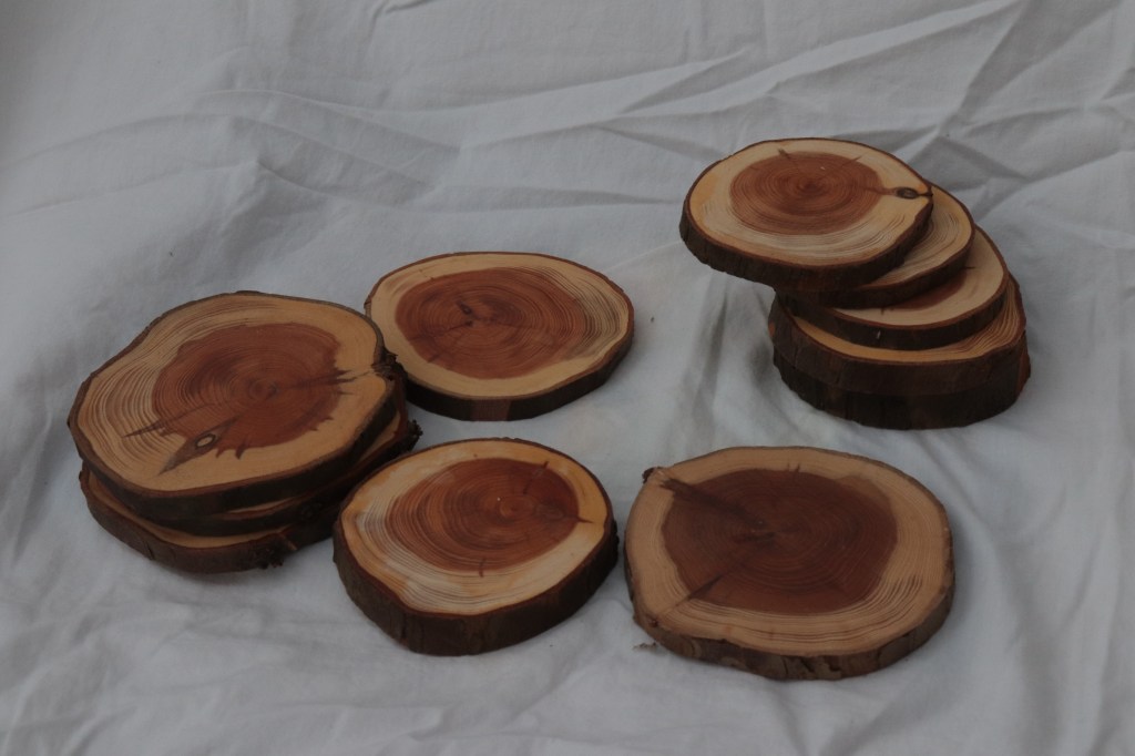 This image has an empty alt attribute; its file name is img_5668.jpg